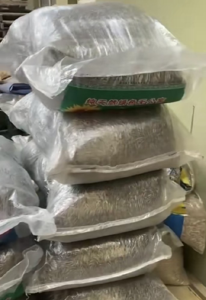 Roasting sunflower seeds in production line feedback from customer factory