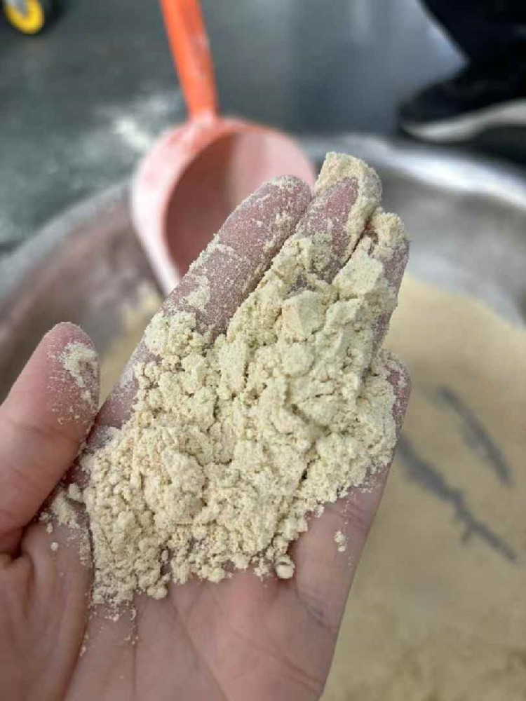 Customers come to the factory to test the machine roasting flour