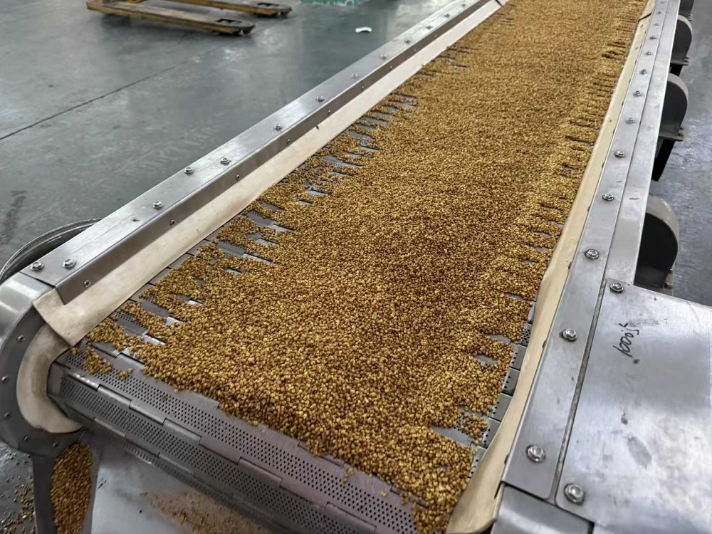 Anhui customer came to the factory to purchase bitter buckwheat.
