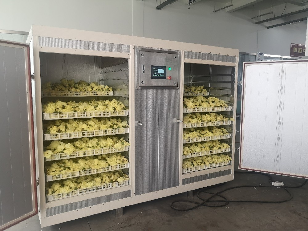 Chike machinery testing ne dryer machine for flowers  Seth