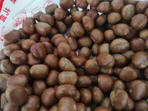 Customer come to factory test roasting chestnut